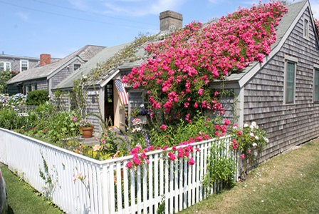 Rose Covered Cottage